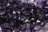 Free-Standing, Amethyst Crystal Cluster - Uruguay #123794-2